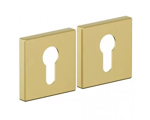 Накладка для замка AS-3CL SGold Накладка для замка AS-3CL SGold